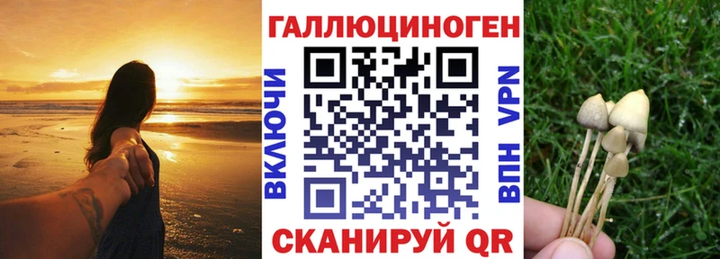 где найти наркотики  Тбилисская  мориарти как зайти  Галлюциногенные грибы Psilocybe 
